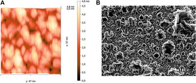 Excitation of Surface Electromagnetic Waves at the Silver/NaCl Aqueous Solution Interface